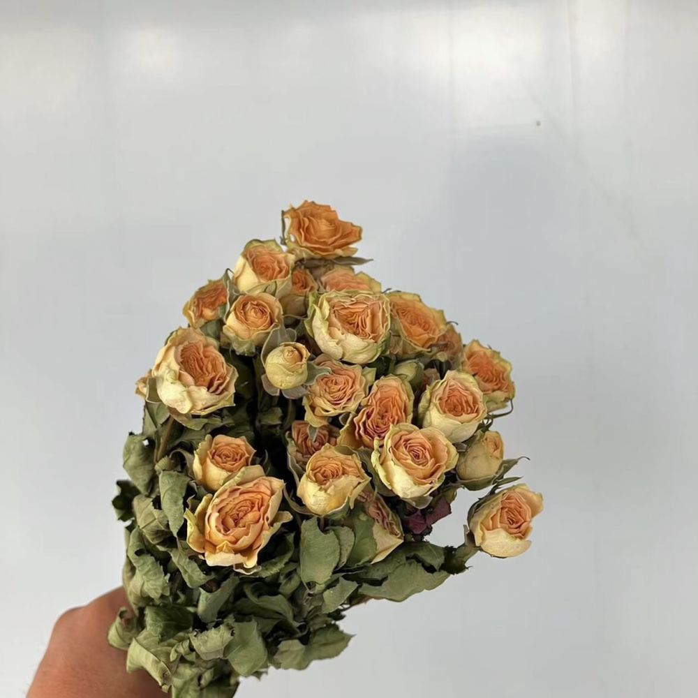 Real Preserved Roses Dried Flo - огляд і ціна Resin Craft Ideas