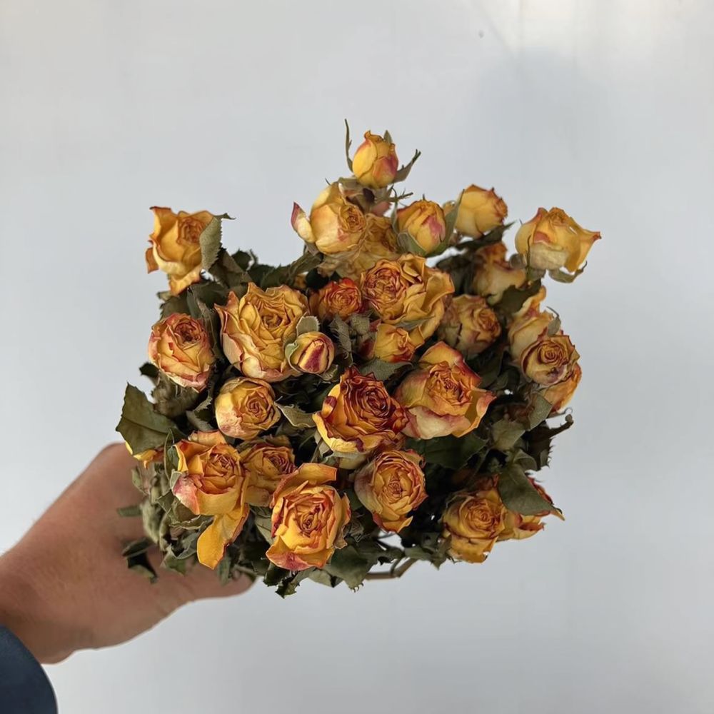 Real Preserved Roses Dried Flo - огляд і ціна Resin Craft Ideas